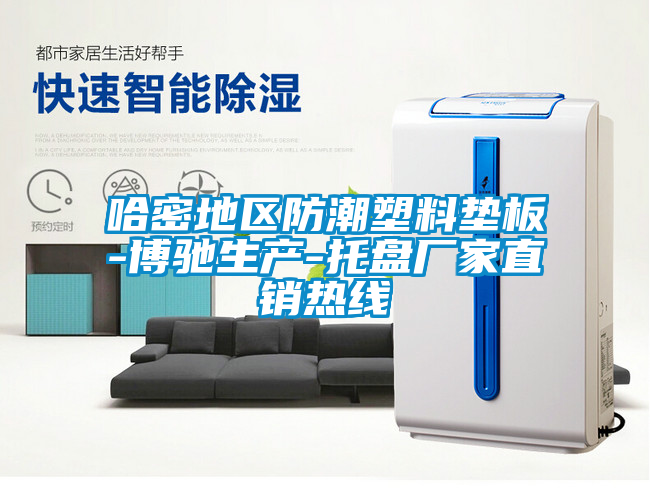 哈密地區(qū)防潮塑料墊板-博馳生產(chǎn)-托盤(pán)廠家直銷熱線
