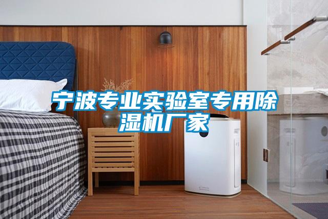 寧波專(zhuān)業(yè)實(shí)驗(yàn)室專(zhuān)用除濕機(jī)廠家