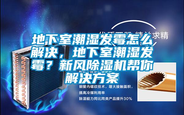 地下室潮濕發(fā)霉怎么解決，地下室潮濕發(fā)霉？新風(fēng)除濕機(jī)幫你解決方案