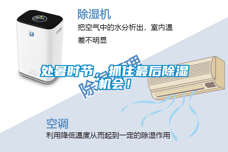 處暑時(shí)節(jié)，抓住最后除濕機(jī)會(huì)！