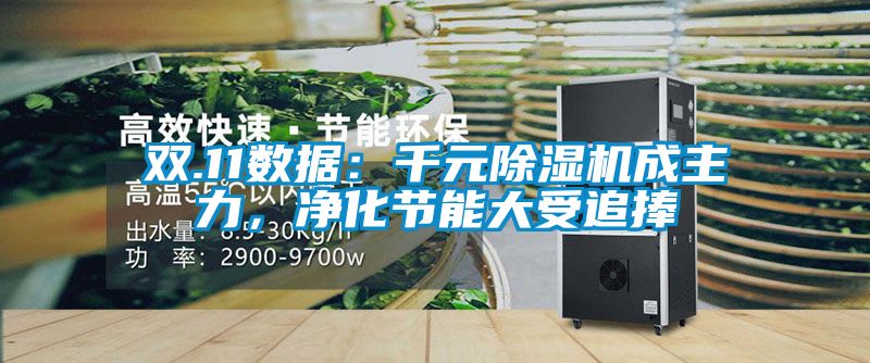 雙.11數(shù)據(jù)：千元除濕機成主力，凈化節(jié)能大受追捧