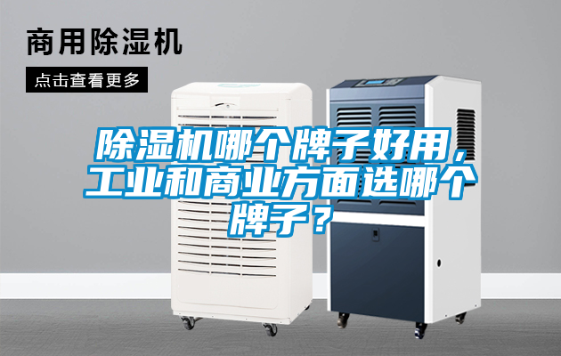 除濕機(jī)哪個(gè)牌子好用，工業(yè)和商業(yè)方面選哪個(gè)牌子？