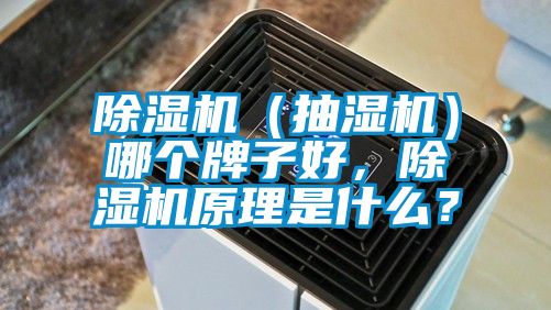 除濕機(jī)（抽濕機(jī)）哪個(gè)牌子好，除濕機(jī)原理是什么？
