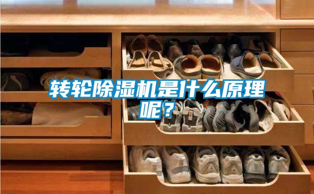 轉(zhuǎn)輪除濕機(jī)是什么原理呢？