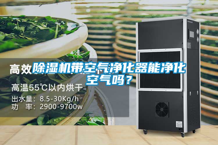 除濕機帶空氣凈化器能凈化空氣嗎？