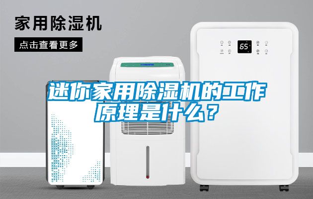 迷你家用除濕機(jī)的工作原理是什么？