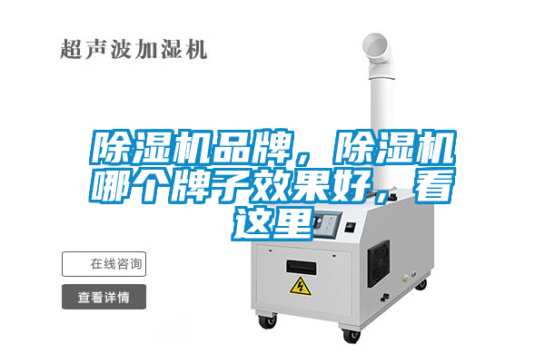 除濕機(jī)品牌，除濕機(jī)哪個(gè)牌子效果好，看這里