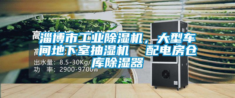 淄博市工業(yè)除濕機(jī)，大型車(chē)間地下室抽濕機(jī)  配電房倉(cāng)庫(kù)除濕器