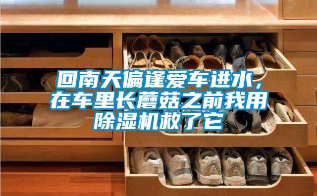 回南天偏逢愛車進(jìn)水，在車?yán)镩L(zhǎng)蘑菇之前我用除濕機(jī)救了它