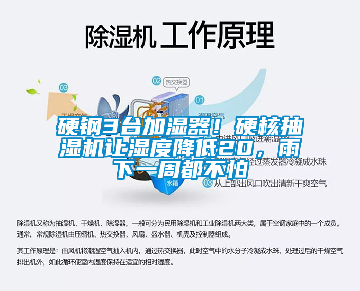 硬鋼3臺(tái)加濕器！硬核抽濕機(jī)讓濕度降低20，雨下一周都不怕