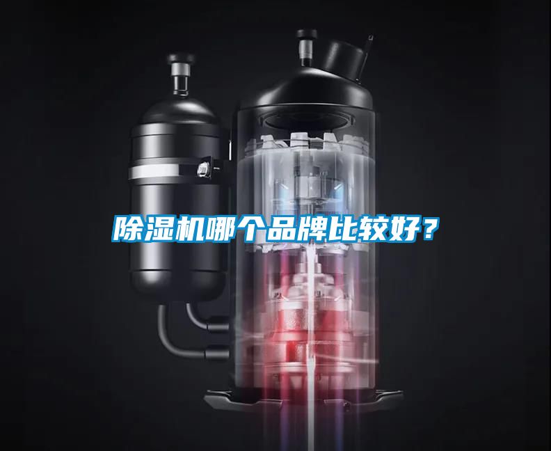 除濕機(jī)哪個(gè)品牌比較好？