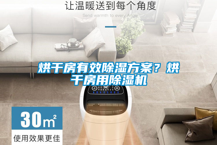 烘干房有效除濕方案？烘干房用除濕機(jī)