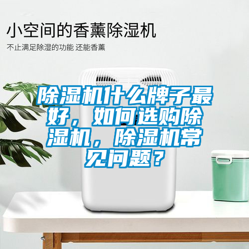 除濕機什么牌子最好，如何選購除濕機，除濕機常見問題？