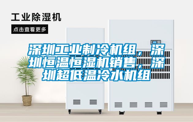 深圳工業(yè)制冷機(jī)組，深圳恒溫恒濕機(jī)銷售，深圳超低溫冷水機(jī)組
