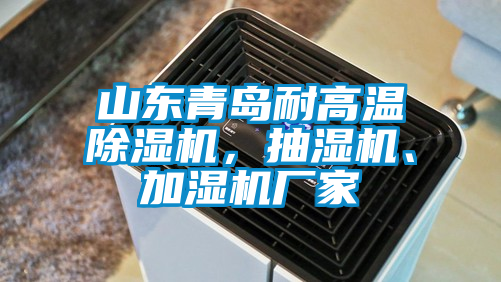 山東青島耐高溫除濕機(jī)，抽濕機(jī)、加濕機(jī)廠家