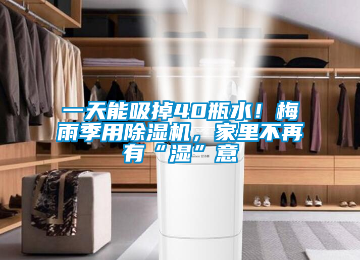 一天能吸掉40瓶水！梅雨季用除濕機，家里不再有“濕”意
