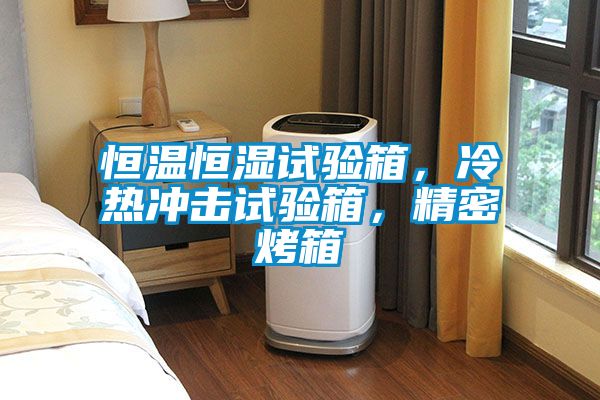 恒溫恒濕試驗(yàn)箱，冷熱沖擊試驗(yàn)箱，精密烤箱