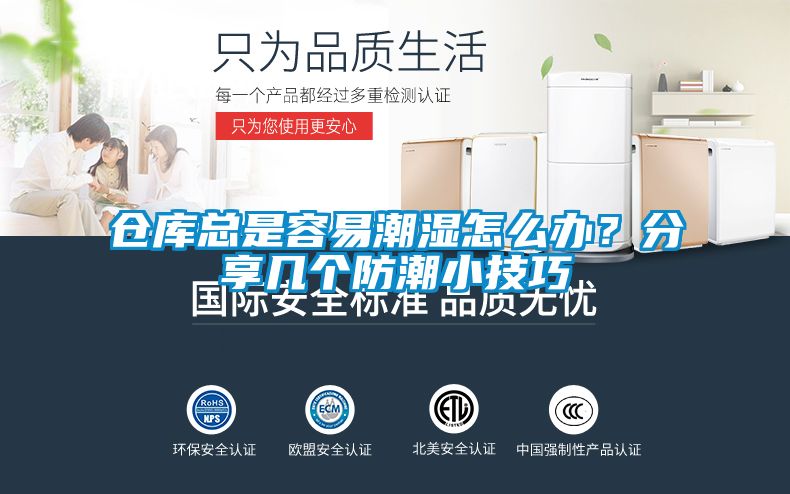 倉(cāng)庫(kù)總是容易潮濕怎么辦？分享幾個(gè)防潮小技巧