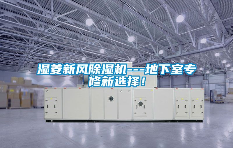 濕菱新風除濕機---地下室專修新選擇！
