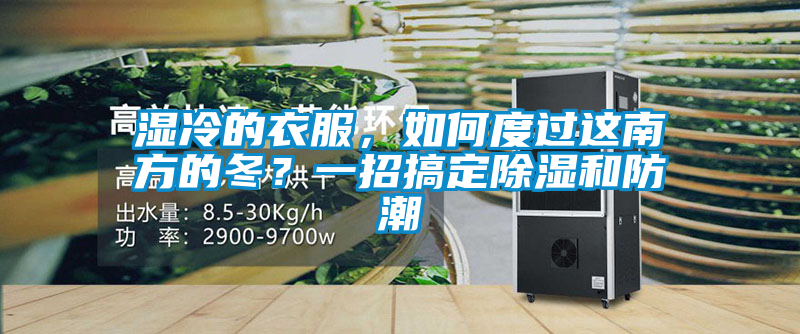 濕冷的衣服，如何度過這南方的冬？一招搞定除濕和防潮
