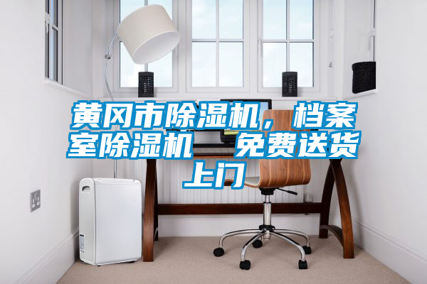 黃岡市除濕機(jī)，檔案室除濕機(jī)  免費(fèi)送貨上門(mén)