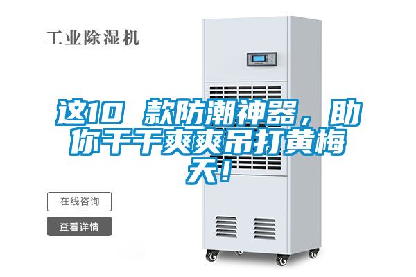 這10 款防潮神器，助你干干爽爽吊打黃梅天！