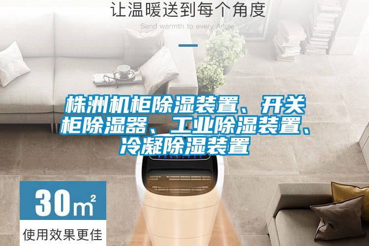 株洲機柜除濕裝置、開關(guān)柜除濕器、工業(yè)除濕裝置、冷凝除濕裝置