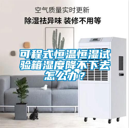可程式恒溫恒濕試驗箱濕度降不下去怎么辦？