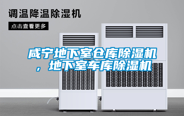 咸寧地下室倉(cāng)庫(kù)除濕機(jī)，地下室車庫(kù)除濕機(jī)