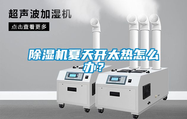 除濕機(jī)夏天開(kāi)太熱怎么辦？