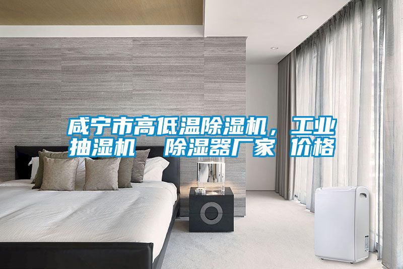 咸寧市高低溫除濕機(jī)，工業(yè)抽濕機(jī)  除濕器廠家 價(jià)格