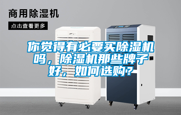 你覺得有必要買除濕機嗎，除濕機那些牌子好，如何選購？