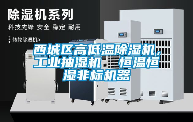 西城區(qū)高低溫除濕機(jī)，工業(yè)抽濕機(jī)  恒溫恒濕非標(biāo)機(jī)器