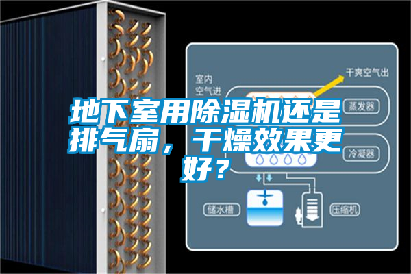 地下室用除濕機(jī)還是排氣扇，干燥效果更好？