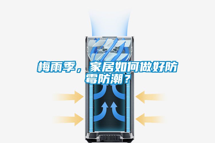 梅雨季，家居如何做好防霉防潮？