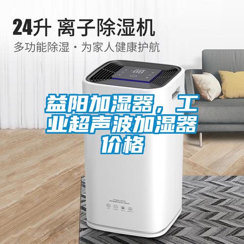 益陽(yáng)加濕器，工業(yè)超聲波加濕器價(jià)格