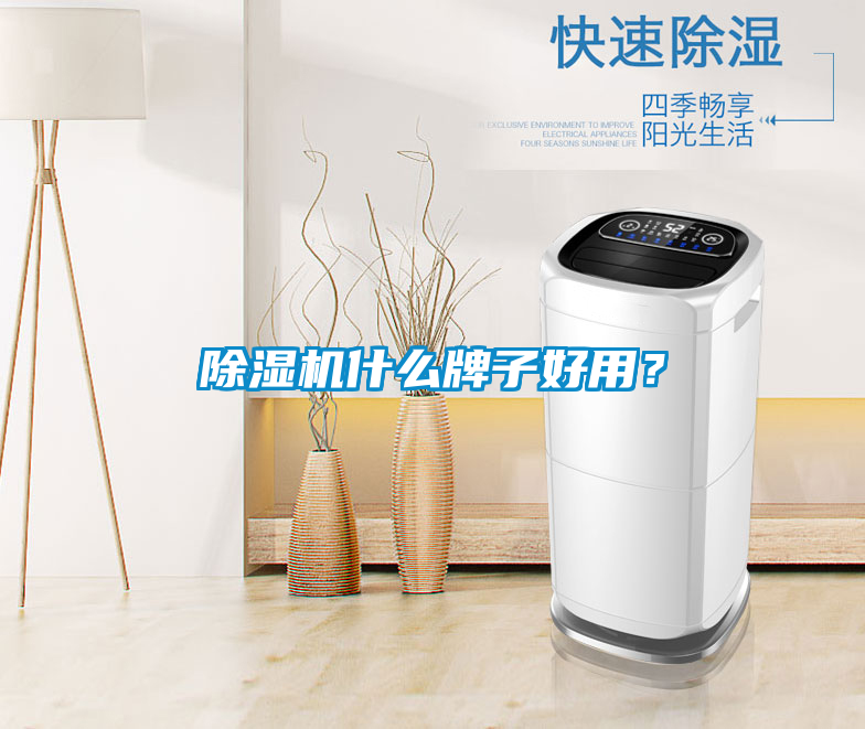 除濕機什么牌子好用？