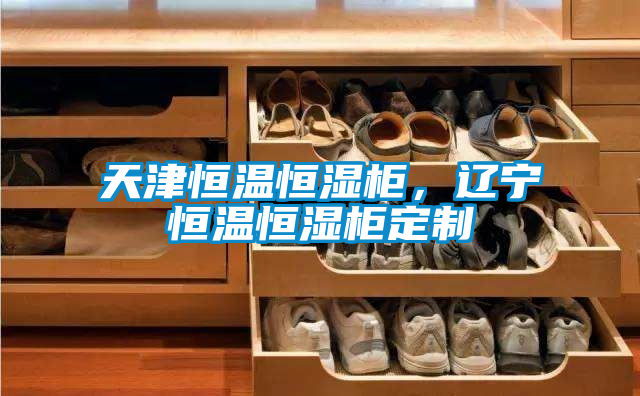 天津恒溫恒濕柜，遼寧恒溫恒濕柜定制