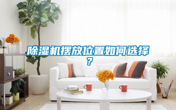 除濕機(jī)擺放位置如何選擇？