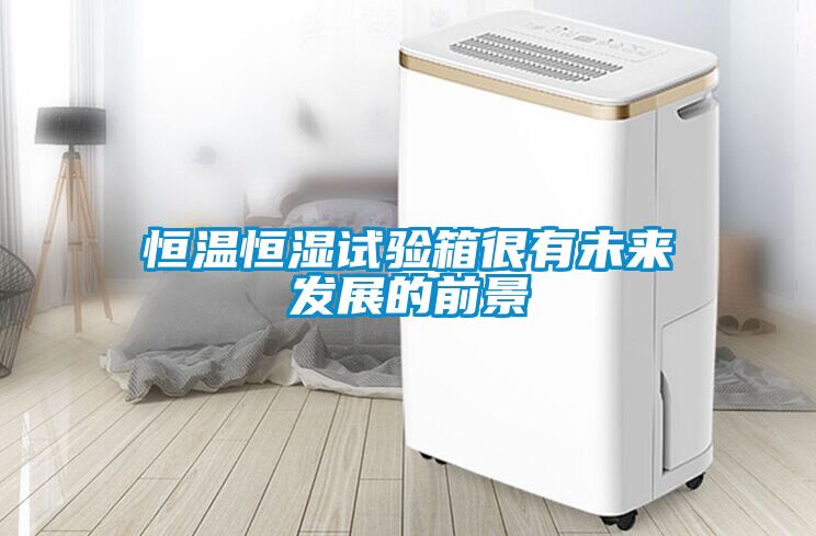 恒溫恒濕試驗箱很有未來發(fā)展的前景
