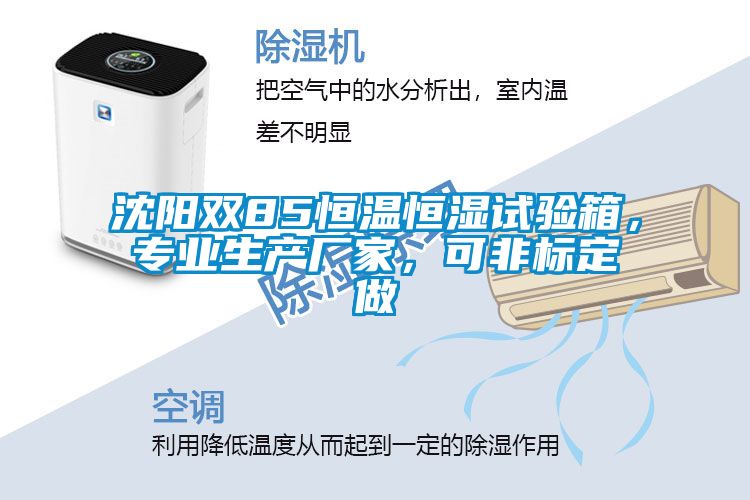 沈陽雙85恒溫恒濕試驗(yàn)箱，專業(yè)生產(chǎn)廠家，可非標(biāo)定做