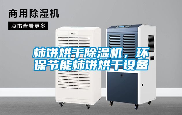 柿餅烘干除濕機(jī)，環(huán)保節(jié)能柿餅烘干設(shè)備