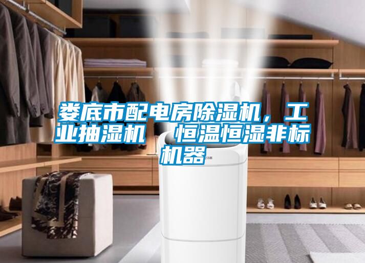 婁底市配電房除濕機(jī)，工業(yè)抽濕機(jī)  恒溫恒濕非標(biāo)機(jī)器