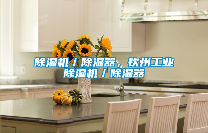 除濕機／除濕器，欽州工業(yè)除濕機／除濕器