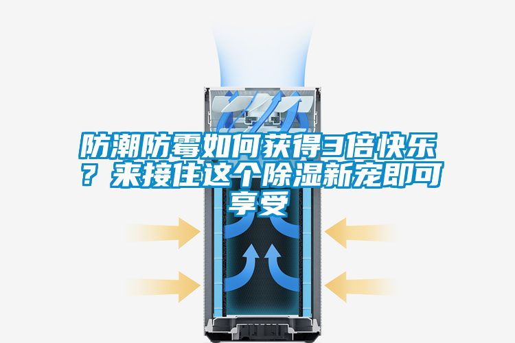 防潮防霉如何獲得3倍快樂？來接住這個除濕新寵即可享受