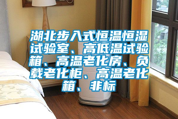 湖北步入式恒溫恒濕試驗室、高低溫試驗箱、高溫老化房、負載老化柜、高溫老化箱、非標(biāo)
