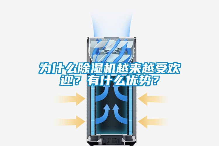 為什么除濕機(jī)越來越受歡迎？有什么優(yōu)勢？