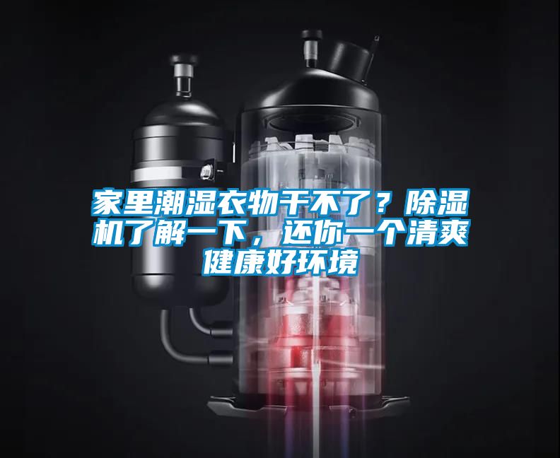 家里潮濕衣物干不了？除濕機(jī)了解一下，還你一個(gè)清爽健康好環(huán)境
