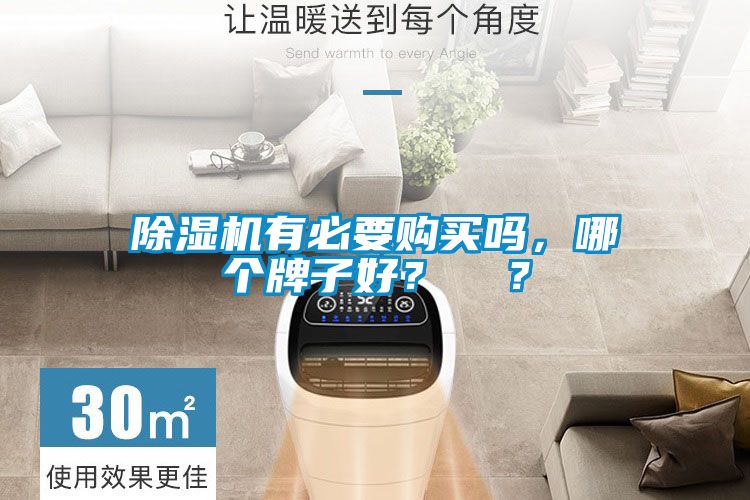 除濕機有必要購買嗎，哪個牌子好？  ？