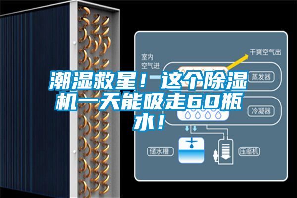 潮濕救星！這個(gè)除濕機(jī)一天能吸走60瓶水！